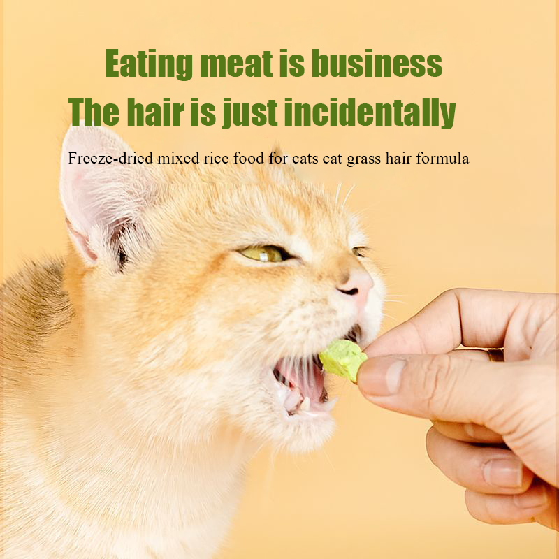 Cat grass freeze-dried meat sq - مراجعة Snacks Food Ready To Eat وسعره