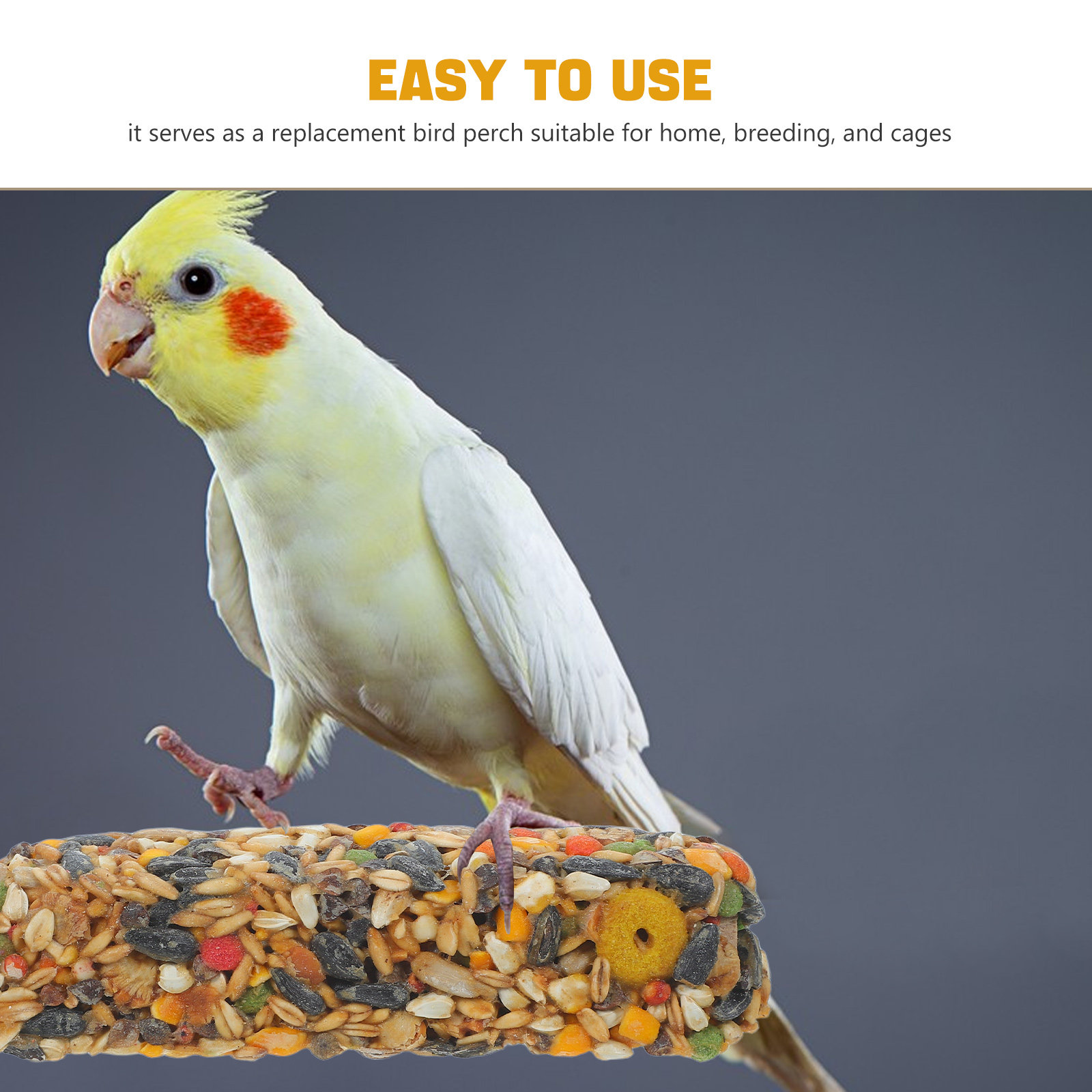 Natural Bird Perch Snack Bar C - مراجعة Mixed Seed Snack وسعره